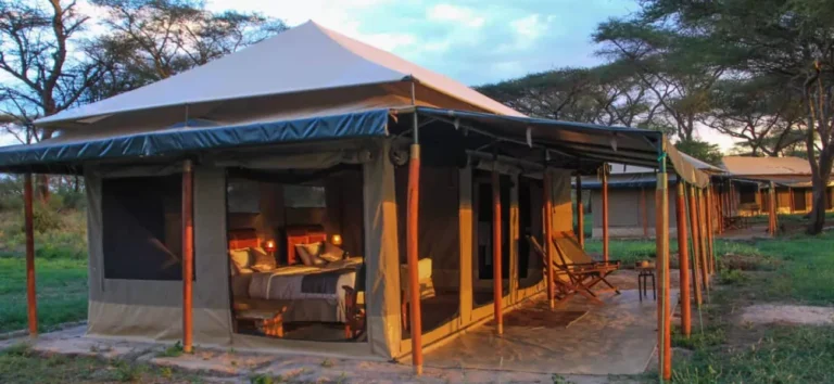 Baobab Tented Lodge