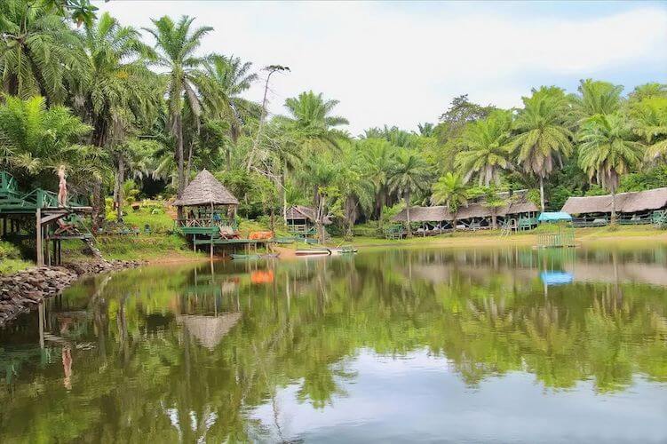 Magoroto Forest Estate