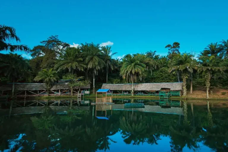 Magoroto Forest Estates