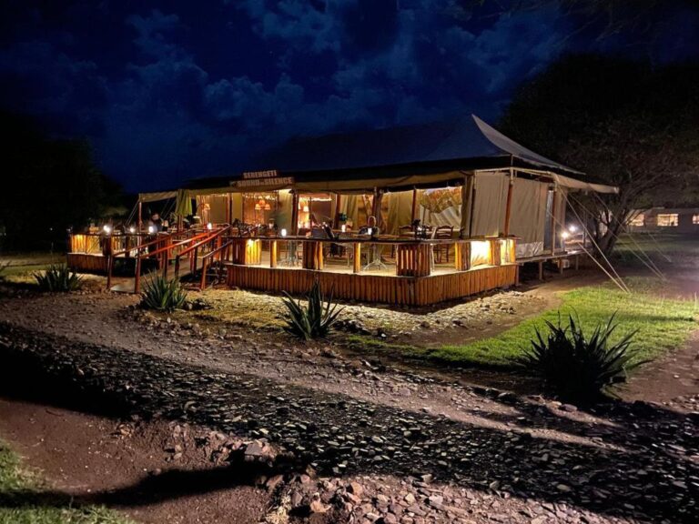 Serengeti Sound of Silence