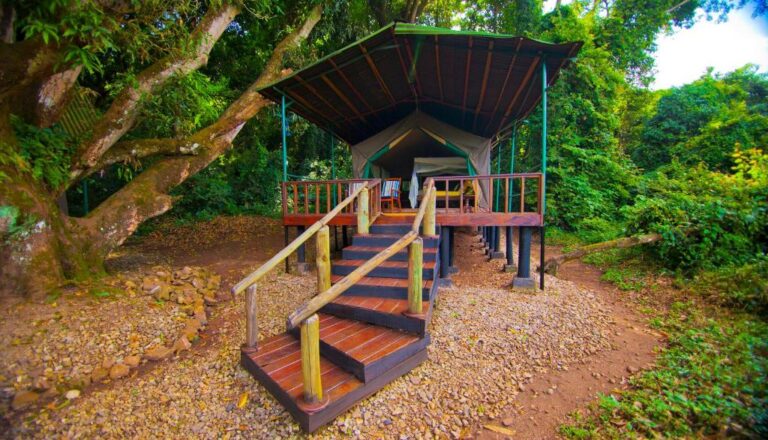 mbali mbali lodge kigoma